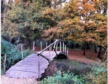 52132-photo-riserva-naturale-nomentum-jpgjpg