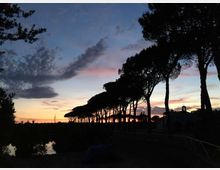 Viale alberato con alti pini marittimi in silhouette lungo un argine, con un corso d’acqua sulla sinistra che riflette il cielo. Sullo sfondo un tramonto con nuvole e tonalità rosa e azzurre sopra un paesaggio pianeggiante.