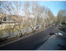 Lungotevere con strada curva affiancata da alti alberi spogli e marciapiede lungo il fiume, con muro di contenimento in muratura. Sullo sfondo si vedono edifici urbani e veicoli in transito sotto un cielo sereno.