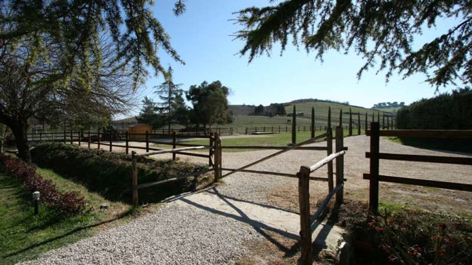 Vialetto sterrato che attraversa un cancello in legno e conduce a un’area recintata con staccionate, in un paesaggio rurale. Sullo sfondo si vedono colline verdi, filari di alberi e cielo sereno, con rami di conifere che incorniciano la scena dall’alto.