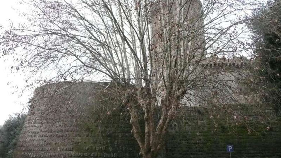 Mura di una fortificazione in pietra con base arrotondata e torre cilindrica sullo sfondo, parzialmente coperta dai rami di un grande albero spoglio. In basso si vede una strada con alcune auto parcheggiate e un cartello di parcheggio.