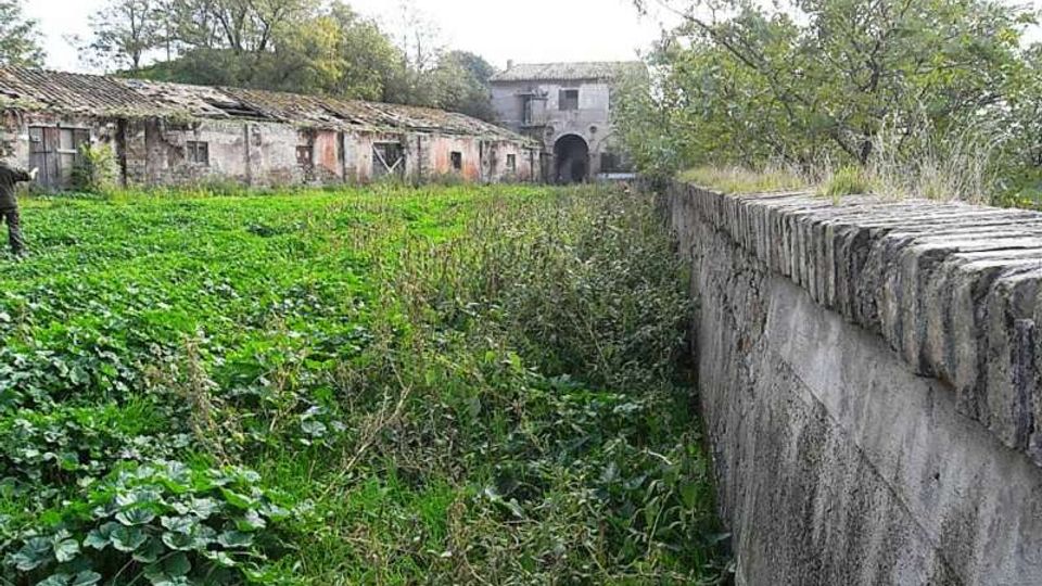 562-b6fd621b3d9fb00da44f5a2d73bb4171jpg