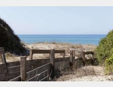 49978-photo-flm-7848-spiaggia-riserva-di-castel-porziano-jpgjpg