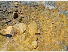 52143-photo-images-jpgjpg