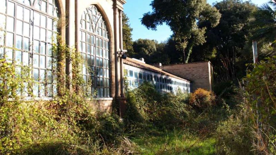 Serra in muratura con grandi finestre ad arco a riquadri lungo una struttura allungata, parzialmente coperta da vegetazione. Intorno si vede un giardino incolto con erba alta e cespugli, con alberi fitti sullo sfondo sotto cielo sereno.