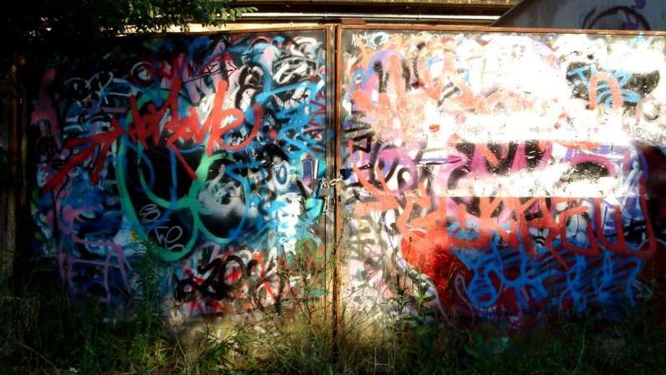 Porta metallica a due ante di un capanno o garage, interamente coperta da graffiti e scritte colorate. Davanti cresce erba alta e sullo sfondo si vedono alberi e cielo.