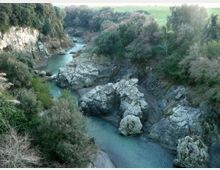 889-2dad74ec9cb82f3a376ae5d2717cdacfjpg