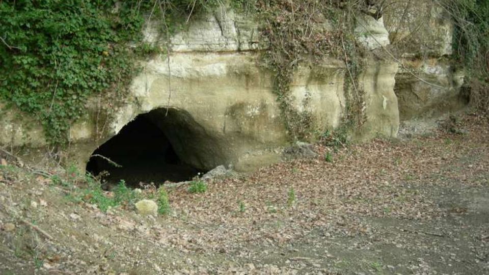 Ingresso ad arco di una grotta o cunicolo scavato in una parete di roccia chiara, parzialmente coperta da vegetazione e rampicanti. Davanti si vede un’area di terreno con foglie secche e un sentiero sterrato in ambiente boschivo.