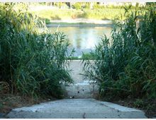Scalinata in cemento che scende tra canneti e vegetazione fitta fino alla riva di un fiume o canale. Sullo sfondo si vede l’acqua e la sponda opposta con erba e alberi.