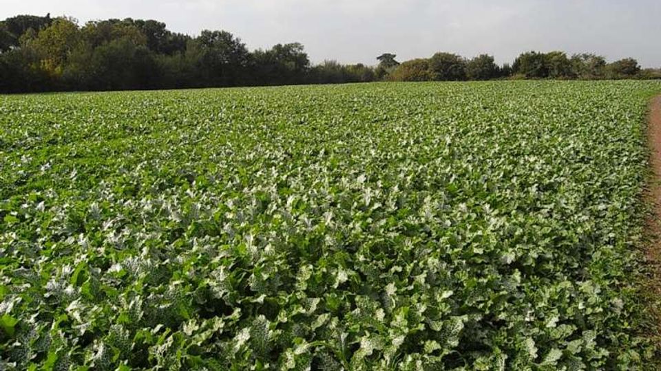 560-193faa3754a4f79611c452363280e0afjpg