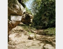 111-e244fa46c05ae9da3c00ac07978d4f7fjpg