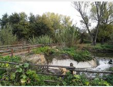 560-fedcc717f1870097754f62e0dae3f58djpg