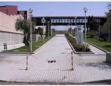 Viale pedonale pavimentato in blocchetti, fiancheggiato da lampioni e aiuole con prati e alberi, tra edifici moderni. In fondo si vede un passaggio sopraelevato vetrato che collega due strutture.