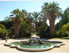 Fontana circolare in pietra con acqua verde e piccole statue, situata al centro di un viale in un parco. Intorno si vedono alte palme e vegetazione mediterranea, con sentieri ghiaiosi e cielo sereno sullo sfondo.