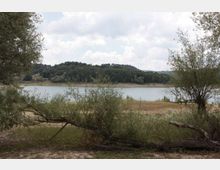 49503-photo-8-jpgjpg