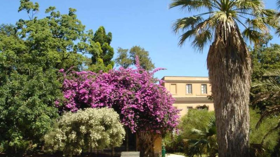 Giardino urbano con sentieri chiari, una panchina e vegetazione mediterranea, tra cui una grande palma in primo piano e cespugli fioriti viola e bianchi. Sullo sfondo si vede un edificio a due piani color beige con finestre.