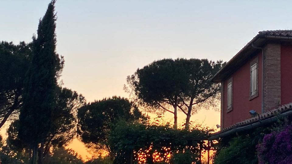 Giardino con ampio prato e alberi alti (pini e cipressi), con pergolato ricoperto di vegetazione sullo sfondo illuminato dal tramonto. A destra si vede una casa in mattoni rossi con tetto in tegole e cespugli fioriti lungo la parete.