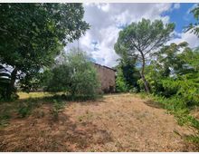 Vista di un’area rurale con terreno secco e alberi fitti che circondano un edificio in muratura dall’aspetto rustico. Un alto pino spicca sulla destra, con cielo parzialmente nuvoloso sullo sfondo.