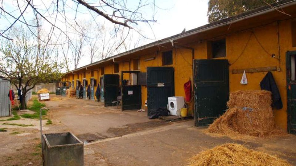 Lungo edificio rurale con file di stalle e grandi porte verdi aperte su un cortile in cemento. Nel cortile sono presenti mucchi di fieno, attrezzature e alberi spogli lungo i bordi.