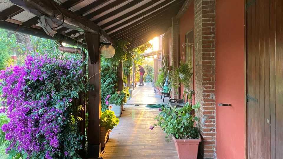 Portico esterno con pavimento in cotto e tetto a falde con travi in legno, affiancato da una parete color terracotta con porte in legno e pilastri in mattoni. Lungo il corridoio ci sono vasi e piante, con una fitta siepe fiorita viola sul lato del giardino.