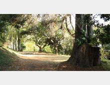 51793-photo-roma-parco-della-cellulosa-jpgjpg