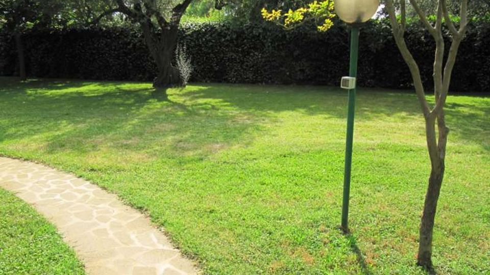 641-5ae1f8eb73fdfd64df3e642b0191ee0djpg