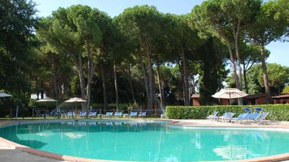 Piscina all’aperto con acqua turchese e bordo in pietra, circondata da file di lettini e ombrelloni. Sullo sfondo si vede un fitto bosco di alti pini e vegetazione, con cielo sereno.