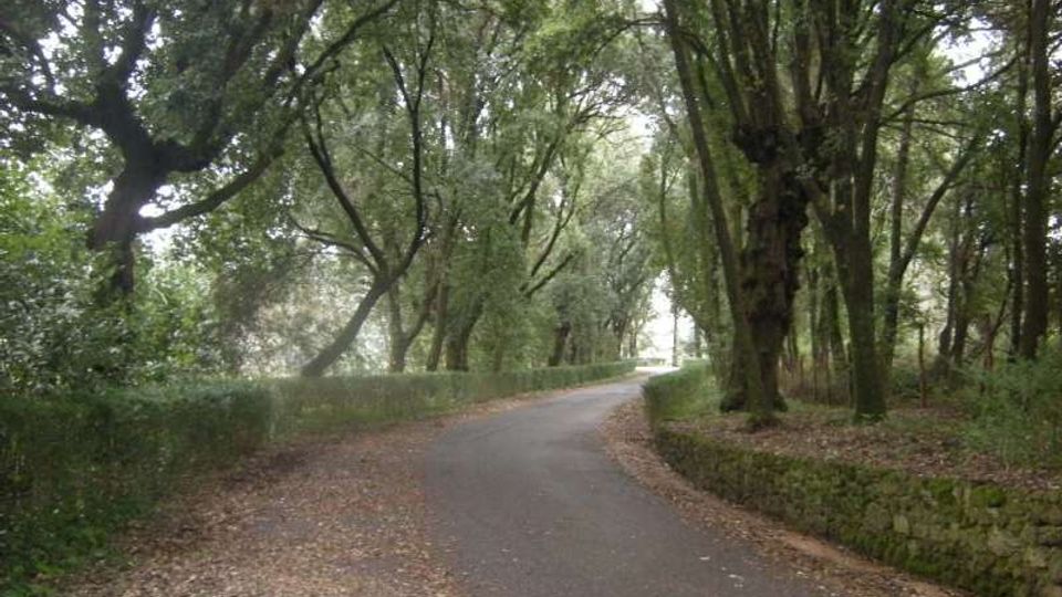 290-f91e3f1b2ef921d55afc82a22ab9a66ejpg