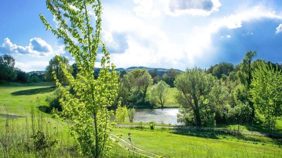 Paesaggio di campagna con prati verdi ondulati e alberi sparsi attorno a un piccolo lago o stagno. In primo piano si vede un giovane albero, con colline in lontananza sotto un cielo azzurro con nuvole.