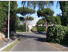Strada asfaltata curva in un’area verde, fiancheggiata da siepi e alberi ad alto fusto, con un lampione e un marciapiede sul lato sinistro. Sullo sfondo si intravede un grande edificio moderno con facciata in vetro e struttura reticolare.