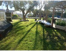 Giardino con prato verde e grandi alberi, con un barbecue in muratura sulla sinistra e un pergolato in legno sulla destra. Sono presenti aiuole e vasi lungo il bordo, con luce solare che crea lunghe ombre sul prato.