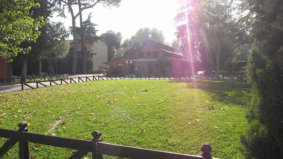Ampio prato recintato con staccionata in legno in un parco alberato, con pini alti e altre piante sullo sfondo. Dietro al prato si vedono alcuni edifici bassi e un vialetto, con forte luce solare e riflessi nell’inquadratura.