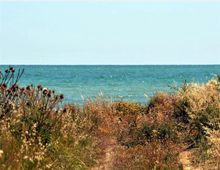 52089-photo-riserva-naturale-macchiatonda-jpgjpg