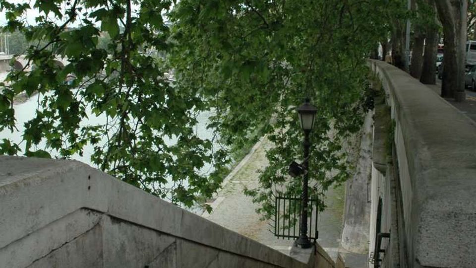 1109-74ffbdcbd97388287927599a46b883cajpg