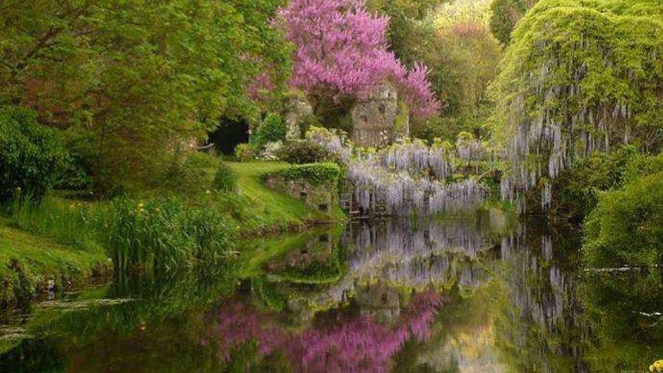 52202-photo-ninfa-1-jpgjpg