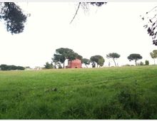 51914-photo-img-0417-jpgjpg