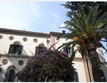 Facciata di un edificio storico chiaro con cornici decorative e finestre ad arco con persiane verdi, vista dal basso. In primo piano si vedono una grande palma e una bouganville fiorita che coprono parzialmente l’edificio.