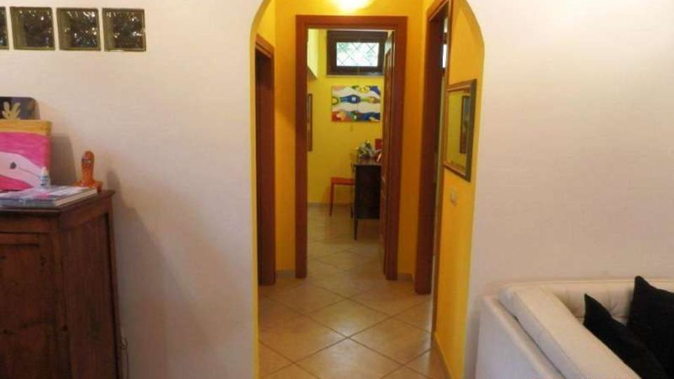 1189-57f14afb27a8f1e1e79a88e60c4f395fjpg