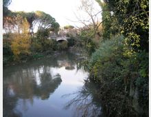 52177-photo-opaco-muro-aprile-riserva-naturale-valle-dellaniene-jpgjpg