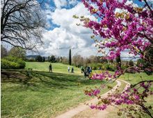 Parco erboso con un sentiero curvo in terra battuta che attraversa una radura, con alberi sparsi e colline sullo sfondo. In primo piano si vede un albero in fiore con fiori fucsia, sotto un cielo parzialmente nuvoloso.