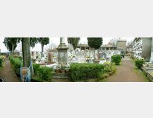 Viale centrale di un cimitero con tombe e lapidi in pietra, aiuole di siepi potate e vasi di fiori; sullo sfondo si vedono alberi alti e muri con loculi disposti in file.