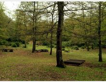 52099-photo-rn-montecatillo-800-jpgjpg