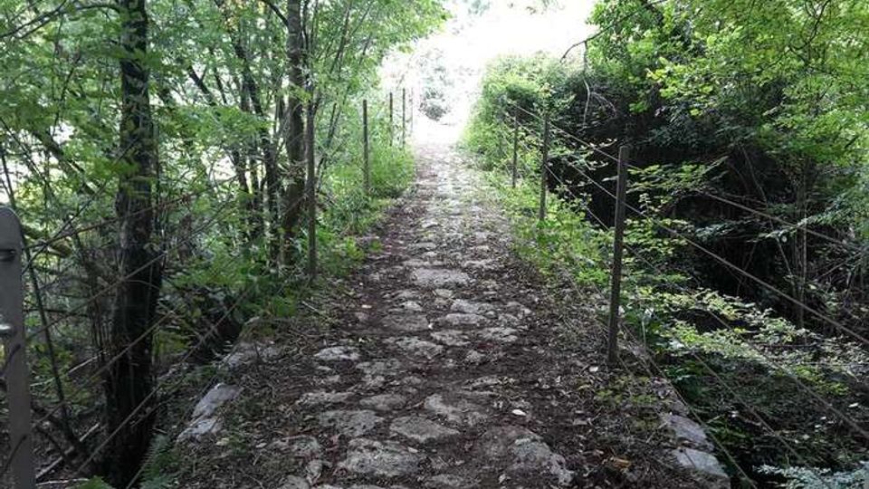 Sentiero stretto in pietra irregolare che attraversa un’area boschiva, con vegetazione fitta ai lati. Il percorso è affiancato da recinzioni metalliche e conduce verso una zona più luminosa in fondo.