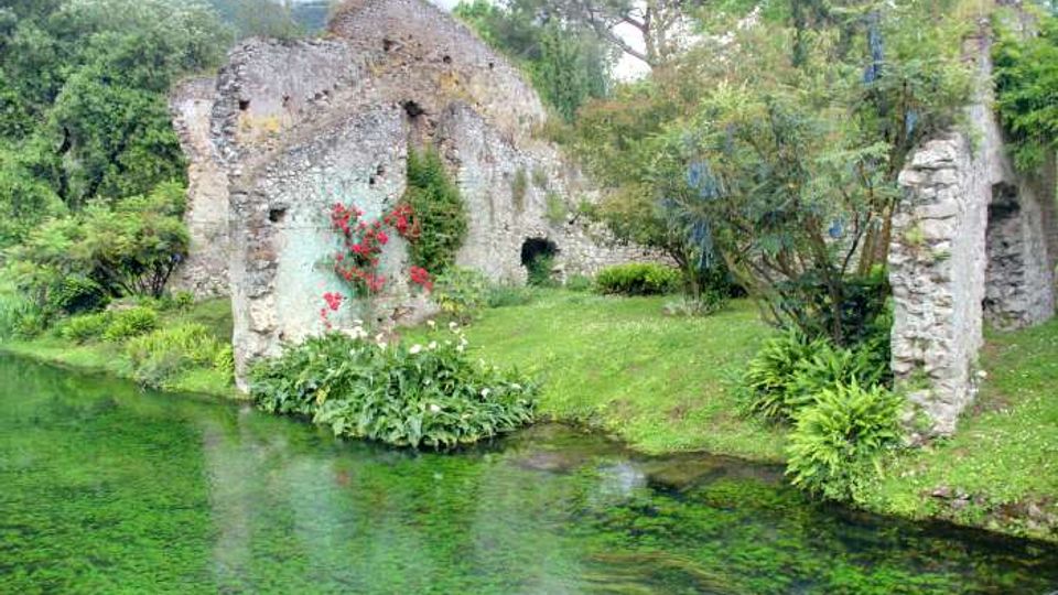 52208-photo-poster-foto-natura-pid-1166-1-large-jpgjpg