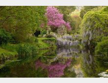 52202-photo-ninfa-1-jpgjpg