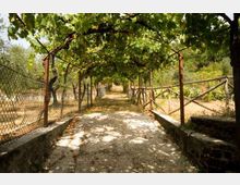 463-f83056189a075c494ab5e3da0f917884jpg