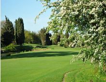 Ampio prato verde curato, simile a un campo da golf, con lievi ondulazioni e un piccolo corso d’acqua sul lato sinistro. Sullo sfondo ci sono alberi alti e cespugli, mentre in primo piano a destra un albero in fiore con fiori bianchi incornicia la scena.