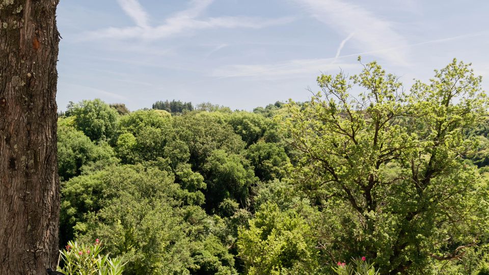 Due sedie a sdraio su un’area di terreno con ghiaia e aiuole, affacciate su una valle boscosa di alberi verdi. In primo piano un grande tronco d’albero e rami, con cielo azzurro leggermente velato sullo sfondo.
