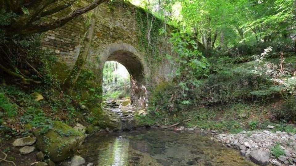 Ponte ad arco in pietra in un’area boschiva, con apertura centrale che attraversa un piccolo ruscello poco profondo e sassoso. Vegetazione fitta e alberi ombreggiano le sponde e il corso d’acqua.