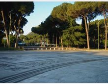 Ampia piazza pavimentata in pietra con motivi lineari scuri sul suolo, circondata da alti pini e altre conifere. Sullo sfondo si vedono lampioni, una fila di dissuasori bianchi e aree verdi lungo il margine della piazza.